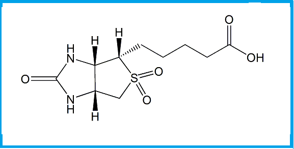 BIOTIN SULFONE 